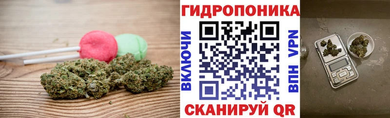 мега зеркало  Камызяк  Cannafood конопля 