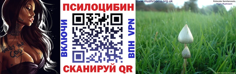 mega tor  Камызяк  Галлюциногенные грибы GOLDEN TEACHER  закладки 